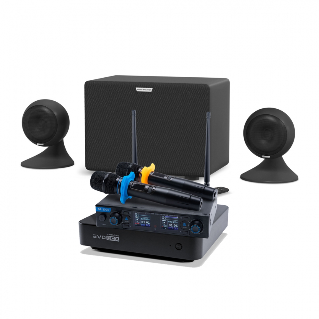 караоке-комплект EVOBOX + EvoSound Sphere 2.1 в Покрове