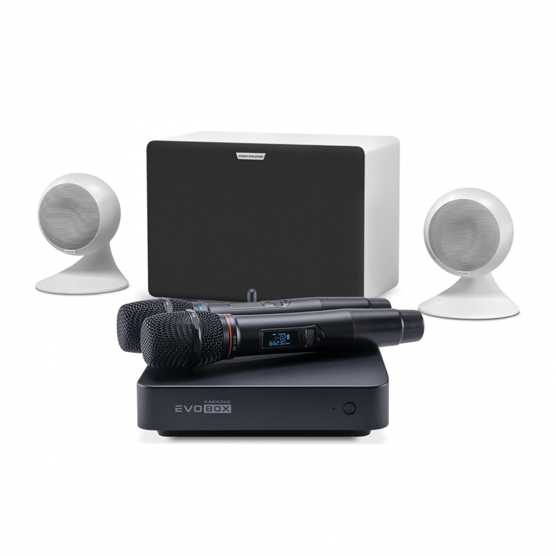 караоке-комплект EVOBOX Classic + EvoSound Sphere 2.1 в Покрове