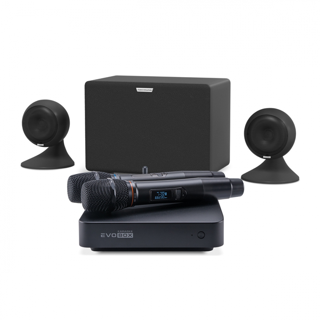 караоке-комплект EVOBOX Plus + EvoSound Sphere 2.1 в Покрове
