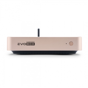 EVOBOX Plus караоке-система для дома в Покрове