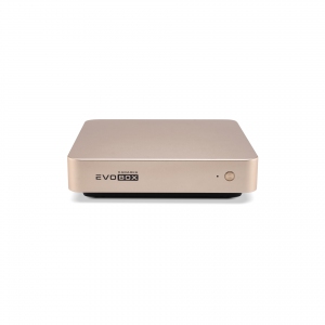 EVOBOX с микрофонами в Покрове